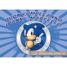 Striscione Sonic - 05 - carta cm 140x100 personalizzato